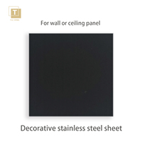 Panneau mural en acier inoxydable 201 304 316L brossé PVD titane noir HL202 pour la décoration de villa