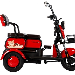 Mini Triciclo Eléctrico de Tres Ruedas para Pasajeros, con Batería Desmontable de 48V y 500W de Potencia para Adultos - Product Image 2