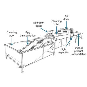 ORME endüstriyel yumurta fırça temizleyici otomatik yumurta yıkayıcı makine ördek yumurta yıkama makinesi - Product Image 4