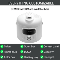 Cuiseur à riz électrique à pression en acier inoxydable OEM/ODM 2L revêtement antiadhésif Pot intérieur Coocker domestique
