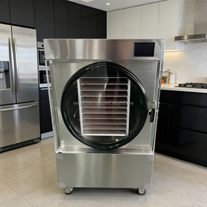 Equipo de Liofilización Automático Comercial con Control PLC, Bomba, Liofilizador Compacto para Pequeñas Empresas y Uso Doméstico, para Alimentos - Product Image 2
