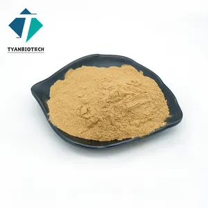 Pure plant menthae haplocalycis herb Peppermint Extract Menthol powder