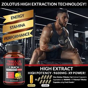 Cápsulas de refuerzo de energía de extracto de <span class=keywords><strong>Tribulus</strong></span> <span class=keywords><strong>Terrestris</strong></span> de suplemento de salud para hombre de etiqueta privada OEM - Product Image 3