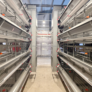 Nouvelle Cage à Poules en Batterie <span class=keywords><strong>de</strong></span> Type H Entièrement Automatique avec Système <span class=keywords><strong>d</strong></span>'Alimentation, <span class=keywords><strong>d</strong></span>'Abreuvement, <span class=keywords><strong>de</strong></span> Collecte des Œufs et <span class=keywords><strong>de</strong></span> Nettoyage du Fumier - Prix Compétitif - Product Image 3