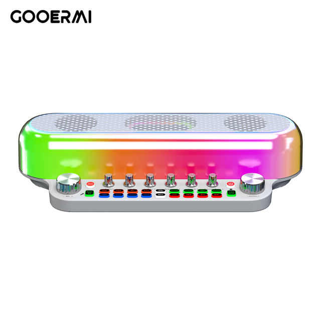 Gooermi Professional Wireless Portable Karaoke Machine Audio Sound Card Speakers with 2 Microphones High Quality Sound Easy Use