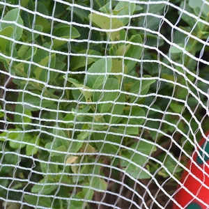 Zware HDPE groene vogelnetten, UV-bestendig, voor fruitbomen, boomgaarden, tuinplantenbescherming - Product Image 1