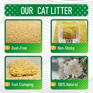 Arena para Gatos Biodegradable y Ecológica, Precio al por Mayor, Altamente Absorbente, Aglutinación Rápida, Desechable por el Inodoro, Sin Polvo, Control de Olores, a Base de Maíz - Product Image 5