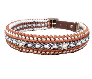 2025 Gemengde Moq Unieke Bruine <span class=keywords><strong>Germany</strong></span> Schotse Hondenhalsband Showleads En Halve Kragen Gebogen Zijsluiting 38Mm - Product Image 3