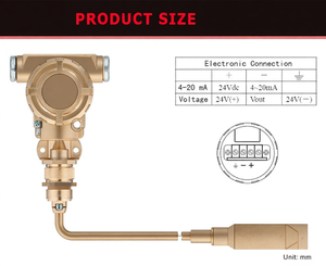 เซ็นเซอร์วัดระดับน้ำแบบไฮโดรสแตติก OEM HPT612 4-20mA,0-5V RS485, หัววัด - Product Image 4