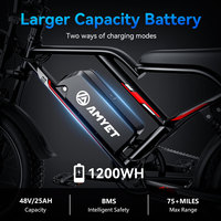 AMYET Deportes Ejercicio físico Importación Ciudad 1000W Bicicletas de calle eléctricas baratas de largo alcance para adultos de China