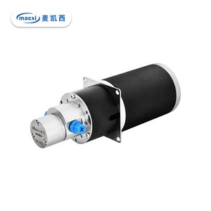 Mini Bomba Dosificadora de Engranajes de Acero Inoxidable con Accionamiento Magnético de 24 V CC - Product Image 1