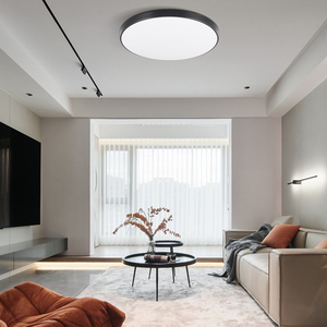High Quality Modern LED Plastic Surface Mounted Black <strong>Shell</strong> Round Ceiling <strong>Light</strong> for Bedroom and Livingroom 30W - Product Image 3