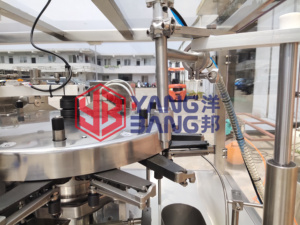 YB-210 Machine d'emballage de chips de fraise de banane séchée et de fraise de sac pré-fabriqué multifonction entièrement automatique - Product Image 4