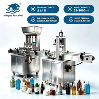 Machine de remplissage et de bouchage automatique 2 en 1 en acier inoxydable pour petites entreprises – Machines de remplissage de liquides
