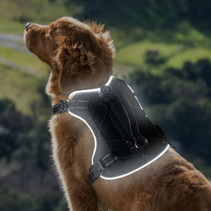 2025 Novo Design USB Recarregável Pet Vest Iluminar Piscando Arnês Luminous Night Safety Dog Led Light Harness - Product Image 2