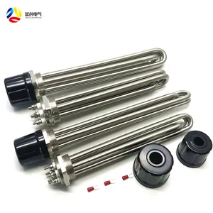 water heating element 2kw water heater rod