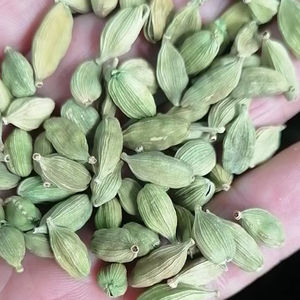 Épice Amomum Cardamomum Noix Brute Gros Fruits Verts Séchés Amomum Cardamomum à Vendre - Product Image 1