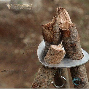 Piquet de tente en acier inoxydable avec crochet à chaîne pour le camping en plein air toutes saisons - Product Image 5