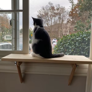 Meubles pour chats personnalisables et écologiques en bois de pin en forme de trou perchoir de fenêtre Installation sans outil de maisons pour animaux de compagnie - Product Image 1