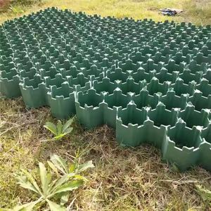 Precio barato al por mayor respetuoso con el medio ambiente Diseño Industrial PP HDPE herramienta de diseño de rejilla de plantación para estacionamientos piscifactorías presa - Product Image 6