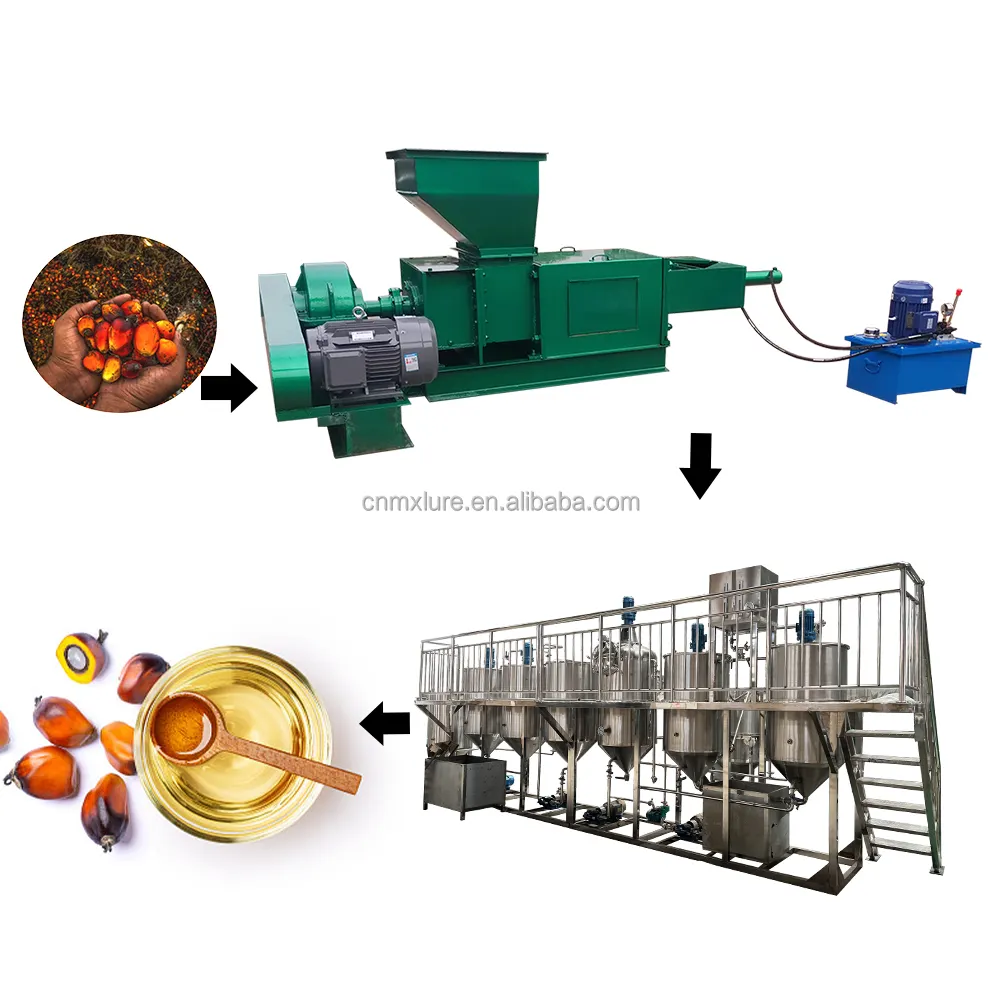 Máquina de línea de procesamiento de aceite de palma y fruta, refinadora de aceite a precio actory