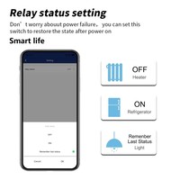 Prise intelligente Wi-Fi TY-BR Tuya 16A compatible avec l'application Smart Life, contrôle vocal Alexa et Google Home
