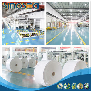 Rollo de Papel Bristol/FBB/Cartulina Marfil C1S de Álamo/Eucalipto al por Mayor - Product Image 6