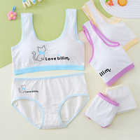 Sous-vêtements en pur coton à motif de dessin animé pour la puberté, ensemble de culottes 9-12-14, soutien-gorge rembourré en éponge pour filles, gilet pour adolescentes