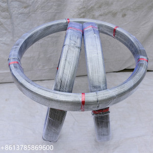 Alambre de acero ovalado de alto carbono Arame liso para cerca 16/14 700kgf alambre <span class=keywords><strong>San</strong></span> <span class=keywords><strong>Martin</strong></span> - Product Image 3