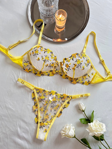 Conjunto de Lencería Sexy con Bordado Floral y Logotipo Personalizado, Pijama de Mujer con Tanga, Conjunto de Lencería Sensual - Product Image 4