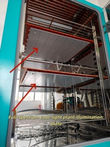 Camera Agricola a Temperatura e Umidità Costante QHX per la Crescita di Germogli di Lattuga e Piantine con Illuminazione - Product Image 3