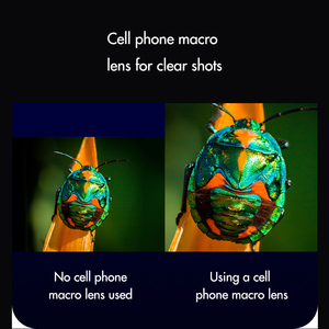 Lente Macro HD de 40-75 mm <span class=keywords><strong>para</strong></span> Teléfono Móvil, Lente de Vidrio Óptico <span class=keywords><strong>para</strong></span> Fotografías de Pestañas y Uñas, 100 mm - Product Image 3