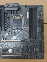 Z490M plus v20 LGA 1200 Micro-ATX Desktop Motherboard DDR4 Intel Chipset Antarmuka Hard Drive SATA Ganda