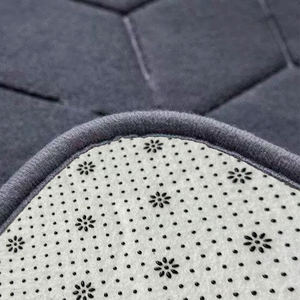 בית חרושת אלמוגים מקטיפה מחצלות מים סופג מים ולא להחליק פוליאסטר פשוט שטיח כניסה - Product Image 3