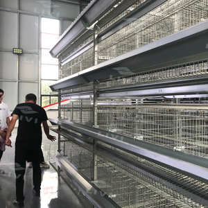 Livi H Loại 3 Tier 96 Chick Hen Chăn Nuôi Lồng Gia Cầm Trang Trại Hai Lớp Gà Lồng - Product Image 2