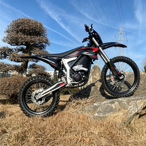 <span class=keywords><strong>Moto</strong></span> tout-terrain électrique Enduro W TYE 3kW 72V 60Ah/73Ah - Product Image 4