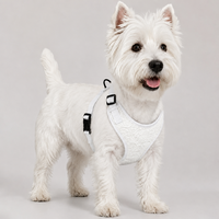 Ensemble Harnais et Laisse pour Chien en Dentelle avec Sac à Déchets, Harnais Gilet Floral Blanc avec Laisse en Corde Tressée, Ensemble de Promenade Réglable pour Chien