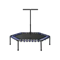 Sundow Cheap Prices Home Indoor Gym Small Trampoline Manufacturers Jumping Fitness Trampoline
