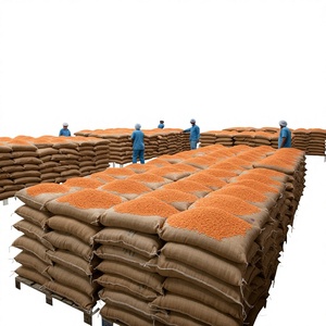 ถั่วเลนทิลแดงแห้ง 100% บริสุทธิ์จากธรรมชาติ เกรดอาหาร บรรจุภัณฑ์แบบแยกชิ้น พร้อมข้อดีในการเก็บรักษาสำหรับอุตสาหกรรมอาหาร - Product Image 1