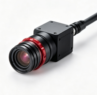 Orijinal KEYENCE Kamera 2MP 16x Dayanıklı Kamera CA-H200C/M Yüksek Hızlı CMOS Monokrom/Renkli Endüstriyel Alan Tarama Kamerası