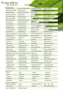 ISO HALAL Fabricante 100% Natural Chá Verde Extrato 98% L-Theanine Camellia Sinensis L. - Product Image 3