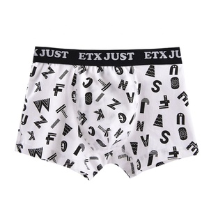 Custom LOGO Printed Boxer Underwear For Teenage Boys - Product Image 5