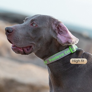 Ensemble collier et laisse pour chien de grande taille, durable, de luxe, réfléchissant, avec logo personnalisé OEM ODM, respirant, confortable, doux, pour l'entraînement - Product Image 2