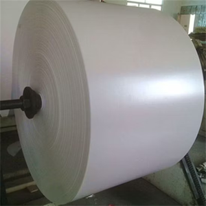 Fabricación de Papel Couché C2S de 105 g/m² para Impresión Publicitaria en el Mercado Ecuatoriano - Product Image 1
