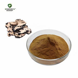 Extracto de <span class=keywords><strong>Polyporus</strong></span> Umbellatus en Polvo 10:1, Concentrado Natural de Hongo para Suplementos Dietéticos y Alimentos - Product Image 3