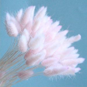 Bouquet de lagure ovale, 60 styles, 50 pièces, pot de fleurs, queue de lapin, herbe pour décoration de mariage - Product Image 5