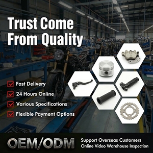 Piezas <span class=keywords><strong>de</strong></span> Repuesto para Motocicletas al por Mayor, Tensor <span class=keywords><strong>de</strong></span> <span class=keywords><strong>Cadena</strong></span> <span class=keywords><strong>de</strong></span> Distribución T2T4K2 CB250 200, Tira <span class=keywords><strong>de</strong></span> Presión - Product Image 3