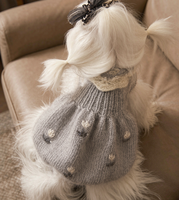 Robe en tricot de luxe pour petits chiens et chats, col roulé doux et chaud, vêtements pour animaux de compagnie