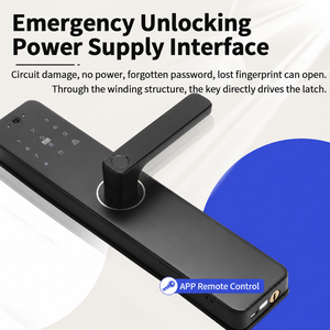 Serrure électronique de sécurité résidentielle, serrure de porte intelligente, cerradura inteligente para puerta digital, serrure de porte intelligente Tuya avec caméra - Product Image 4
