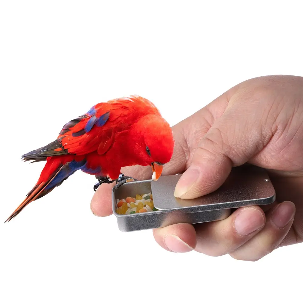 Mini Draagbare Papegaaien Voerbak Vogelgroei Training Tool Interactief Speelgoed Vogelvoeder